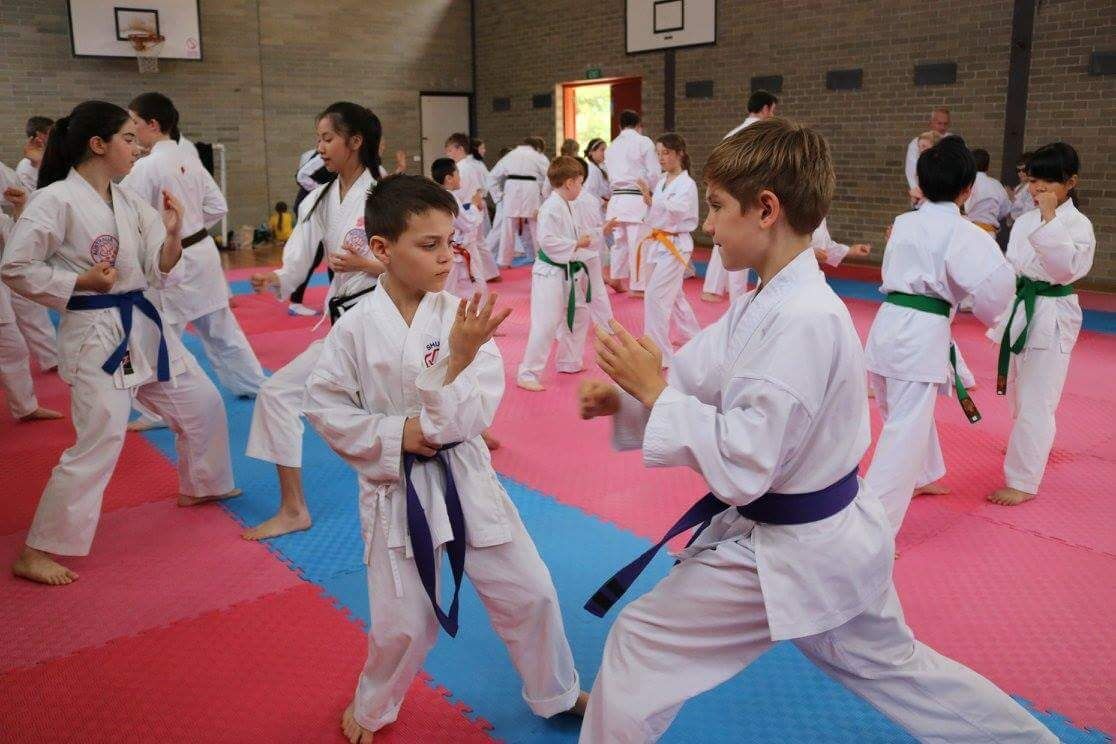 Karate for kids